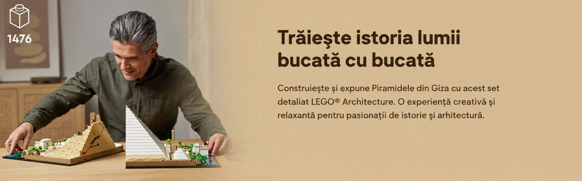 LEGO pentru adulti